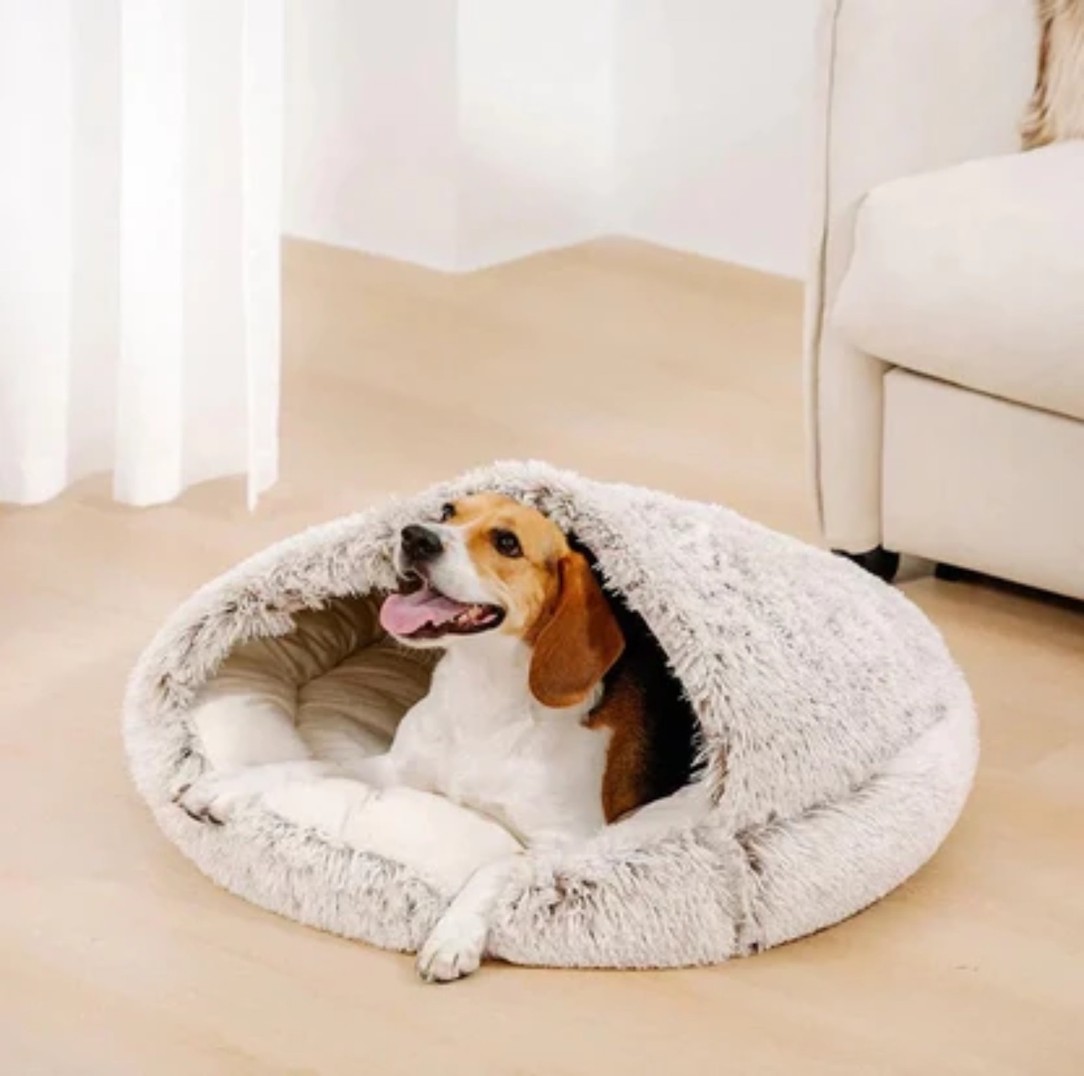 Small dog relaxing in the cozy cave-style pet bed