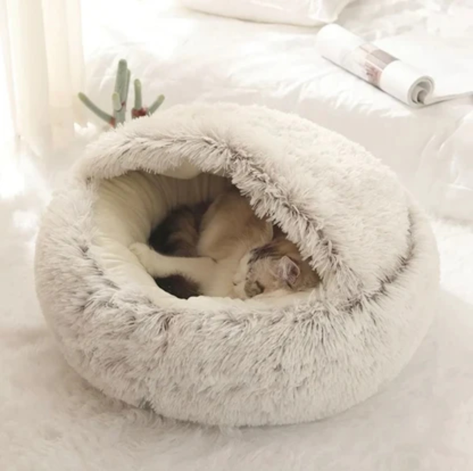 Cat sleeping under the soft plush cover