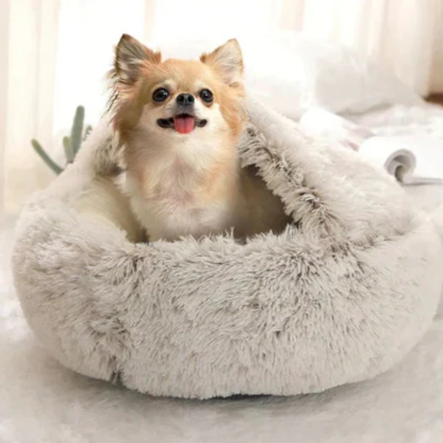 Small dog sitting in the plush pet bed