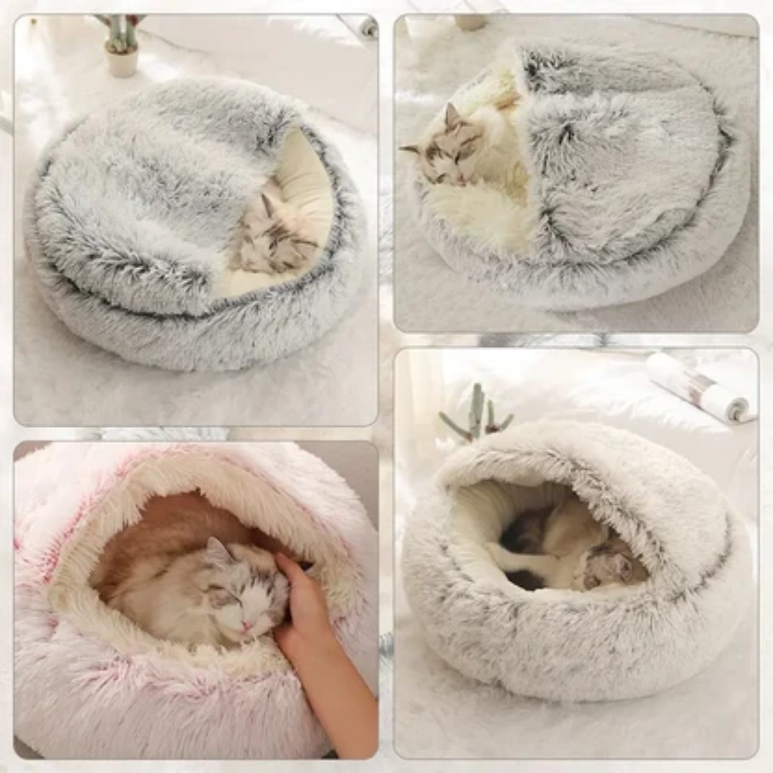 Cats using the covered plush pet bed
