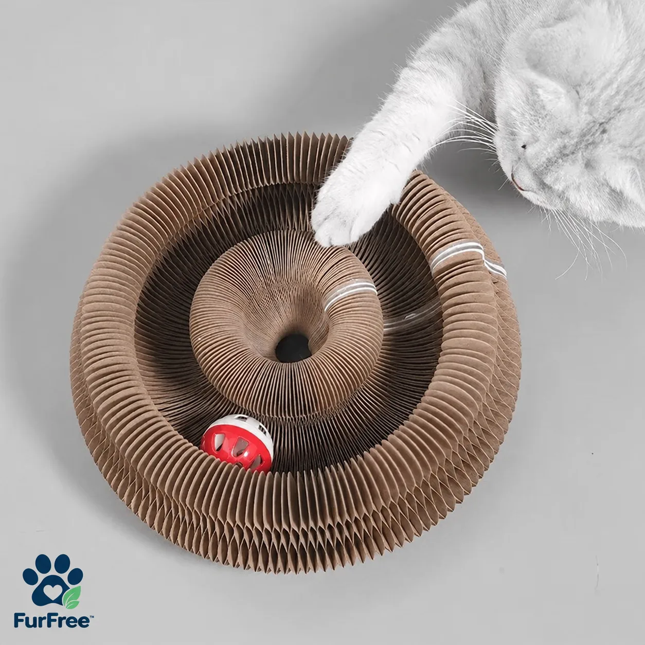 Cat using circular scratcher