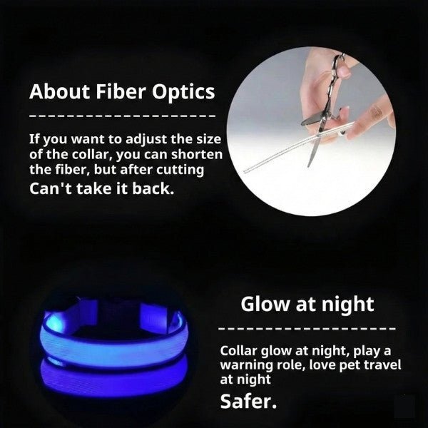 LED collar fiber optics and nighttime glow