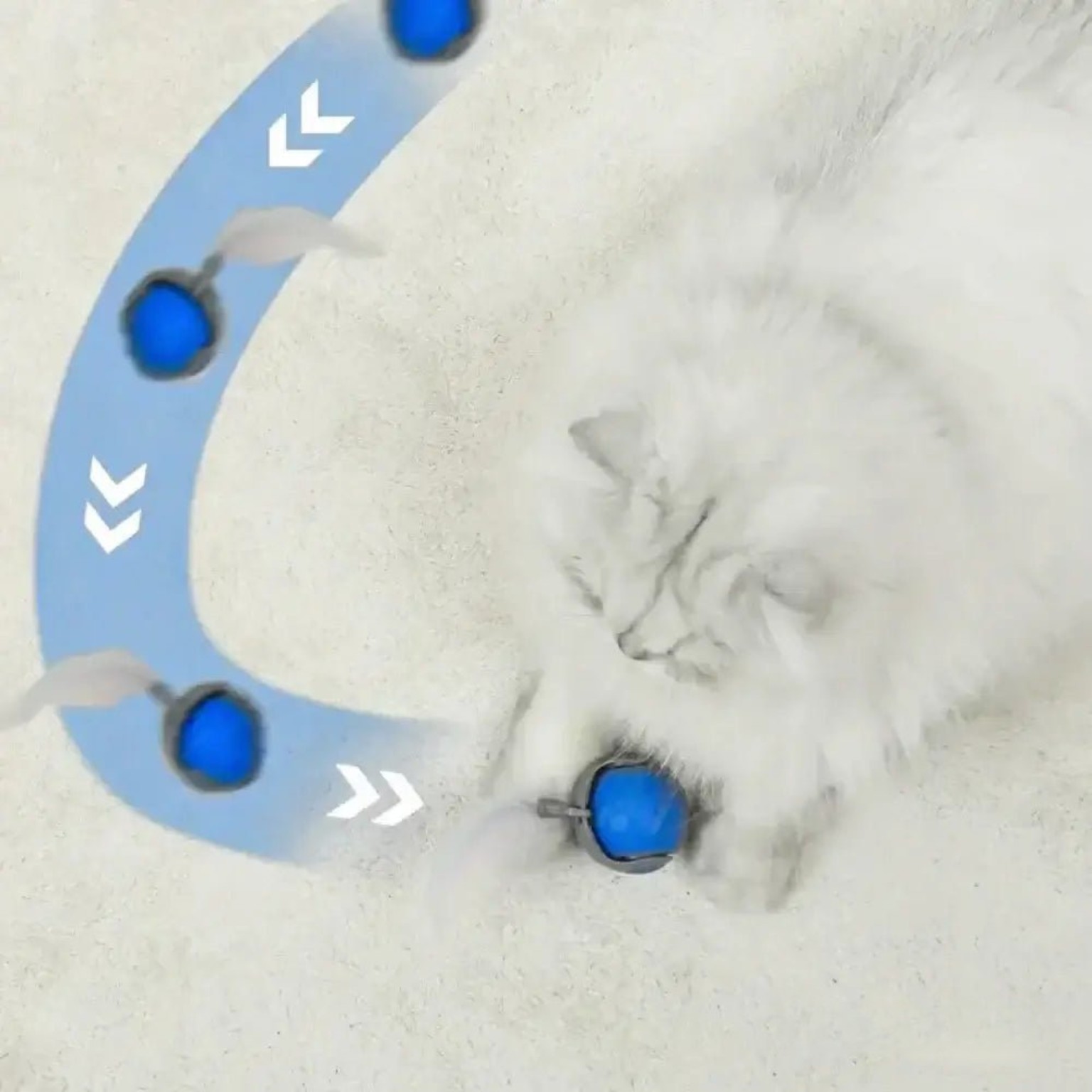 Cat chasing interactive motion toy