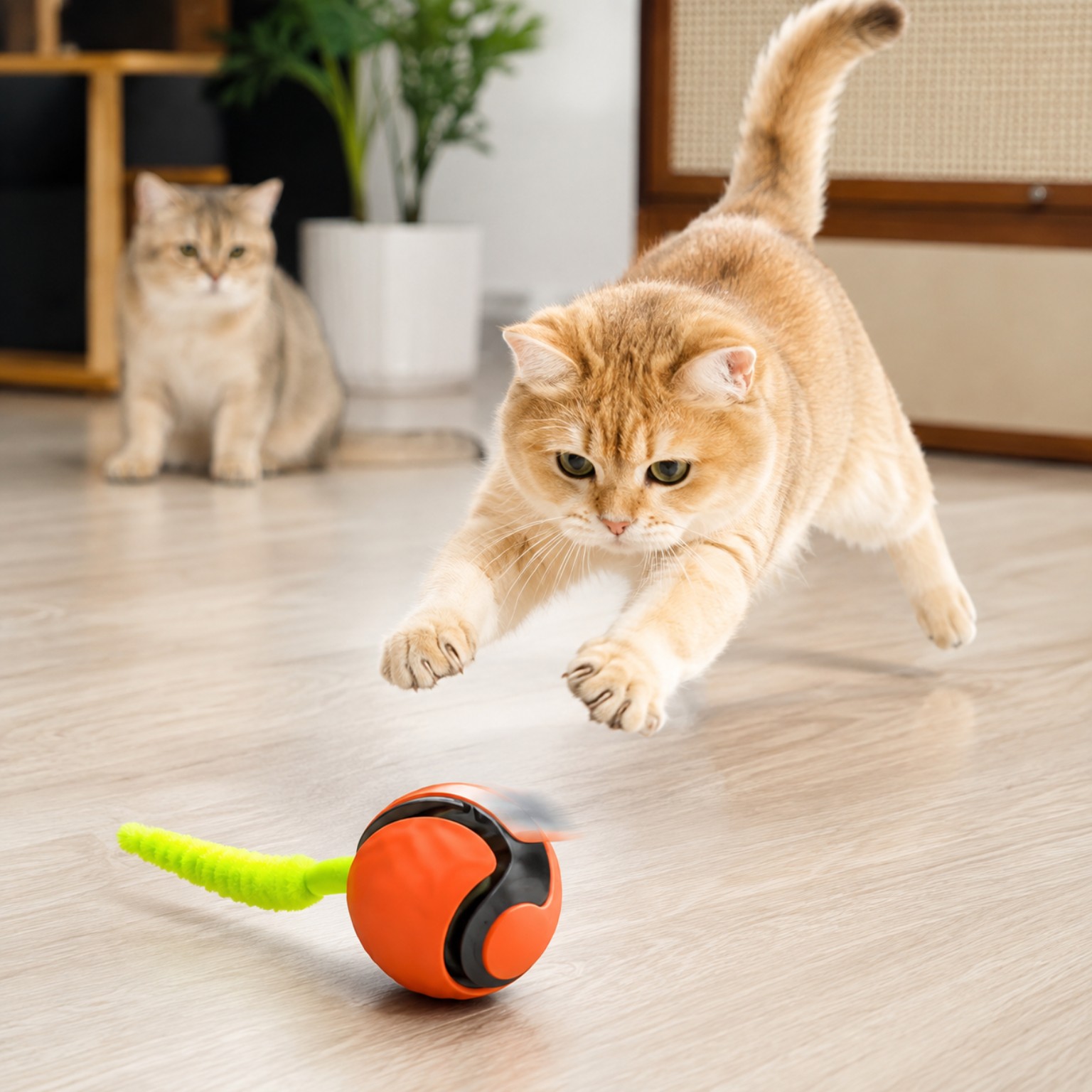 Cat chasing the FurFree Interactive Motion Pet Toy