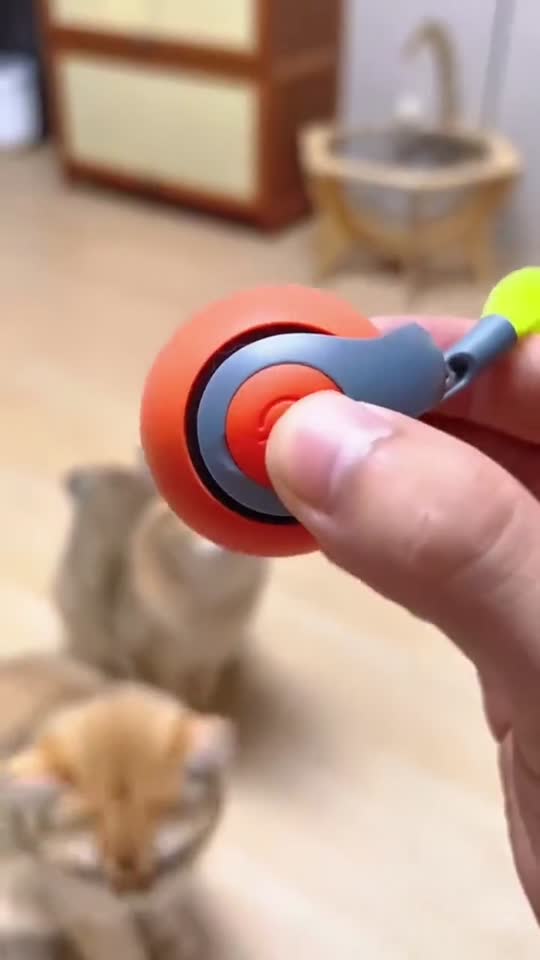 Video: FurFree Interactive Motion Pet Toy in action